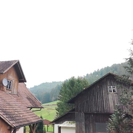Geraeumige Wohnung Im Schwarzwald Seelbach  Εξωτερικό φωτογραφία