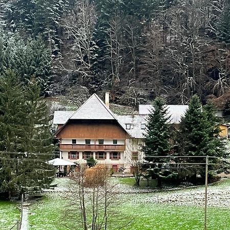 Geraeumige Wohnung Im Schwarzwald Seelbach  Εξωτερικό φωτογραφία