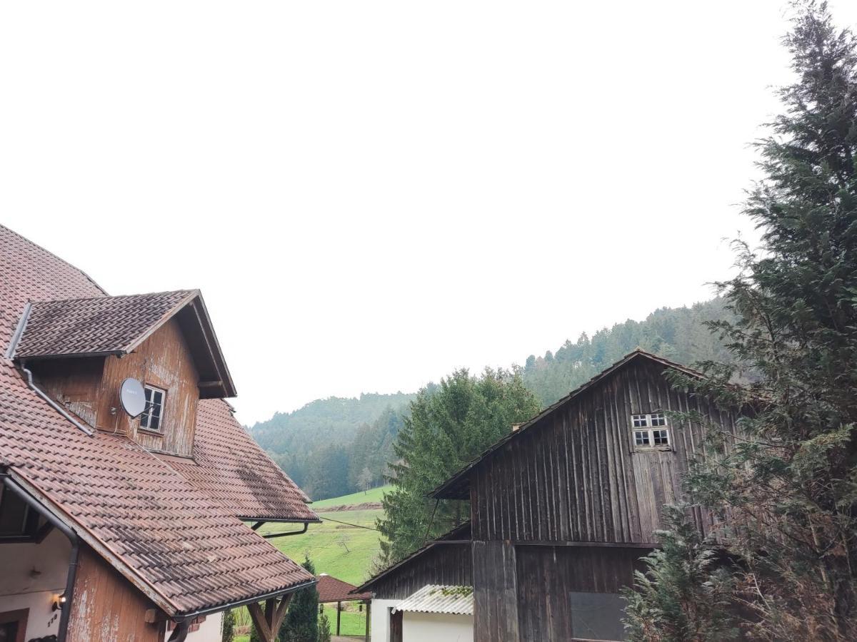 Geraeumige Wohnung Im Schwarzwald Seelbach  Εξωτερικό φωτογραφία