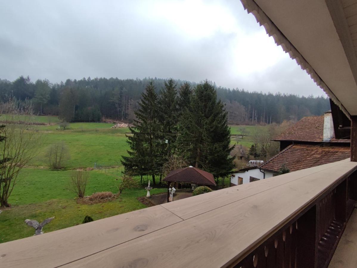Geraeumige Wohnung Im Schwarzwald Seelbach  Εξωτερικό φωτογραφία