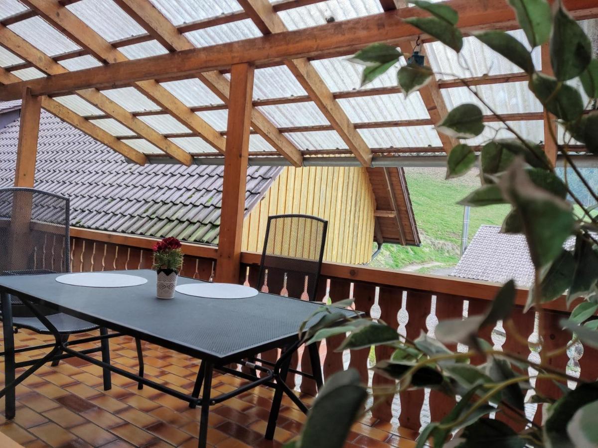 Geraeumige Wohnung Im Schwarzwald Seelbach  Εξωτερικό φωτογραφία