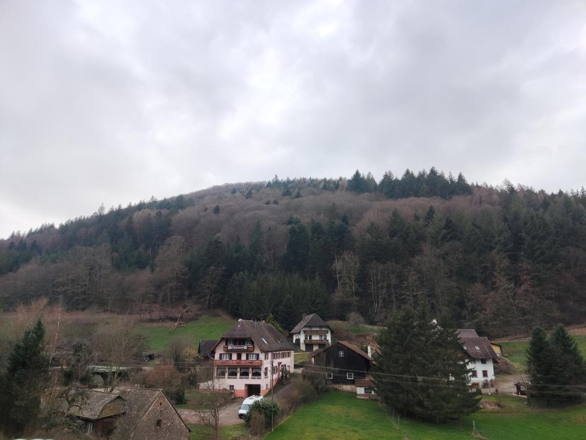 Geraeumige Wohnung Im Schwarzwald Seelbach  Εξωτερικό φωτογραφία