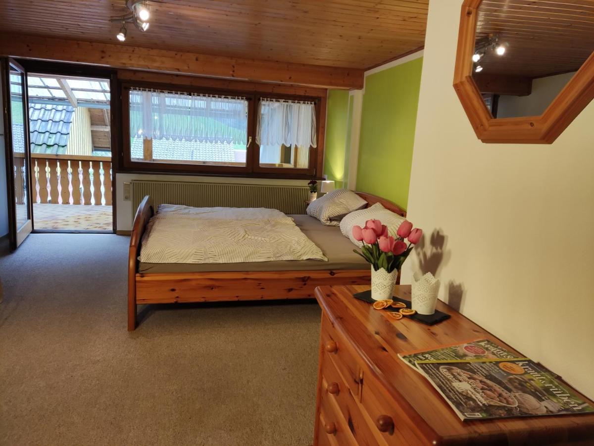 Geraeumige Wohnung Im Schwarzwald Seelbach  Εξωτερικό φωτογραφία