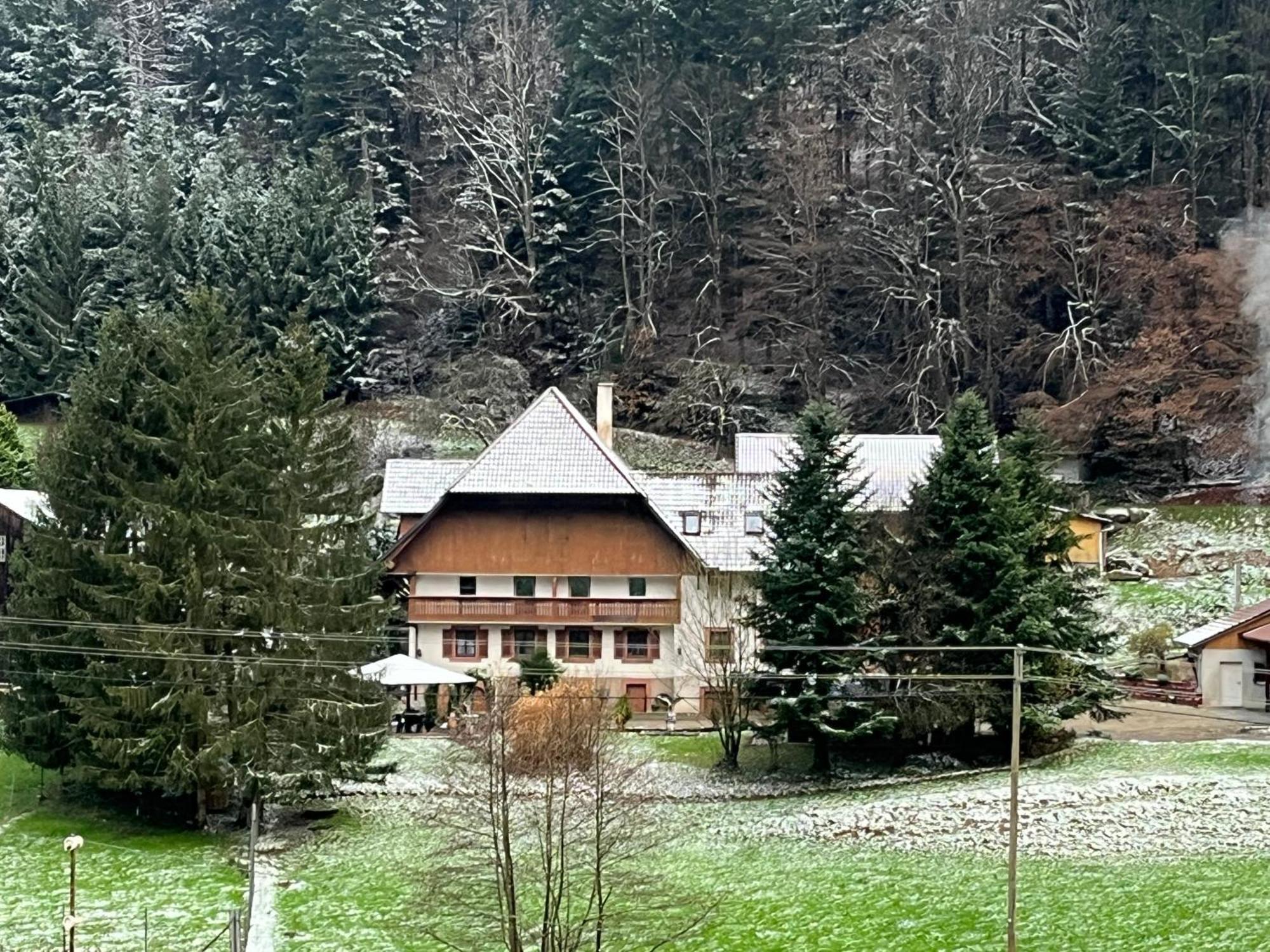 Geraeumige Wohnung Im Schwarzwald Seelbach  Εξωτερικό φωτογραφία